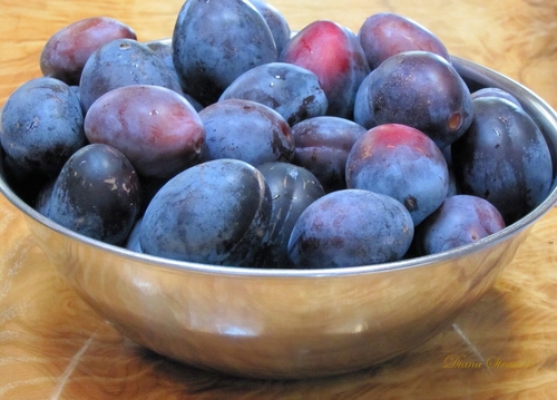 Plum - Prune
